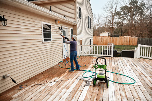 Best Affordable Power Washing  in Ithaca, MI