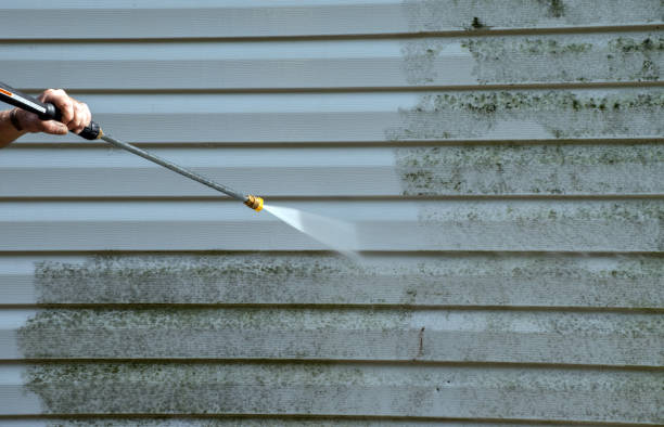 Professional Pressure Washing in Ithaca, MI