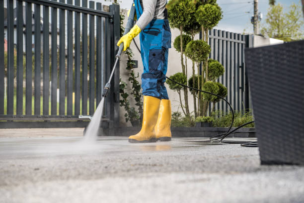 Best House Pressure Washing  in Ithaca, MI