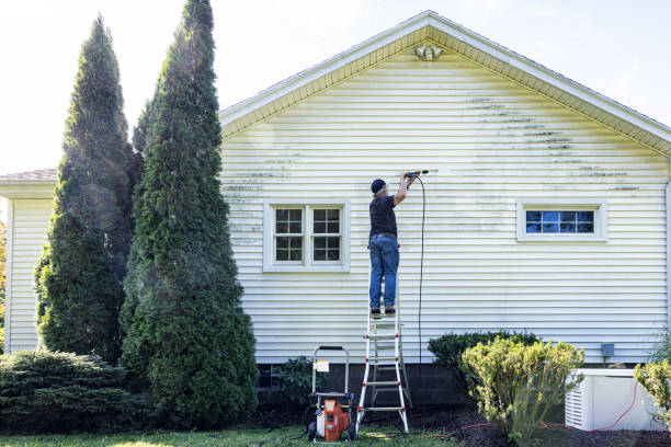 Best Commercial Pressure Washing  in Ithaca, MI