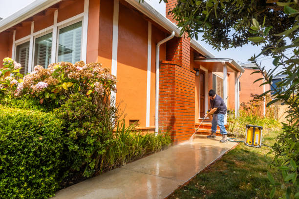 Best Garage Pressure Washing  in Ithaca, MI