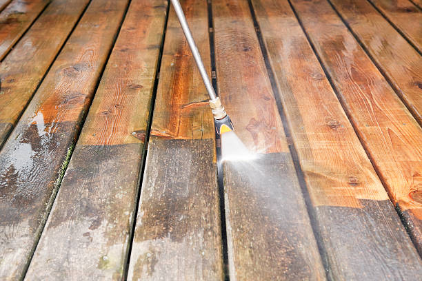 Best Affordable Pressure Washing  in Ithaca, MI