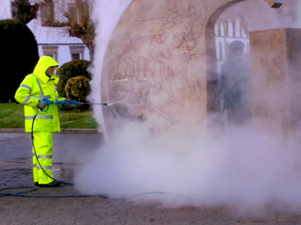 Best Power Washing Near Me  in Ithaca, MI