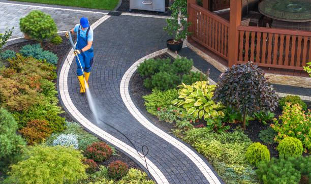 Best Deck Pressure Washing  in Ithaca, MI